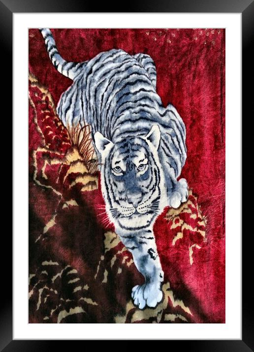 Tiger Framed Mounted Print by Tony Mumolo