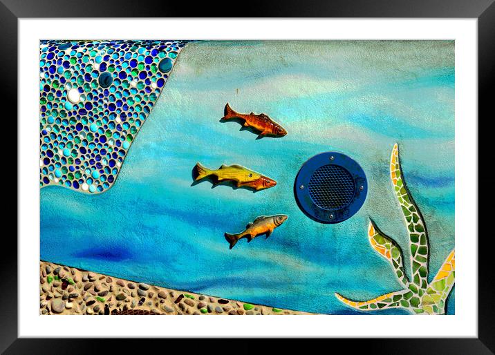 Fish Framed Mounted Print by Tony Mumolo