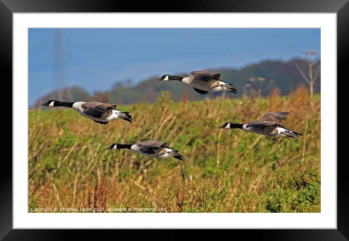 Four Squared Framed Mounted Print by Ste Jones