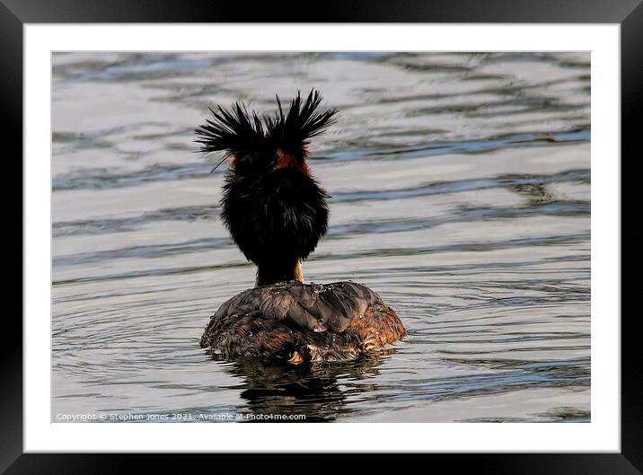 We All Know Someone With A Haircut Like This Framed Mounted Print by Ste Jones