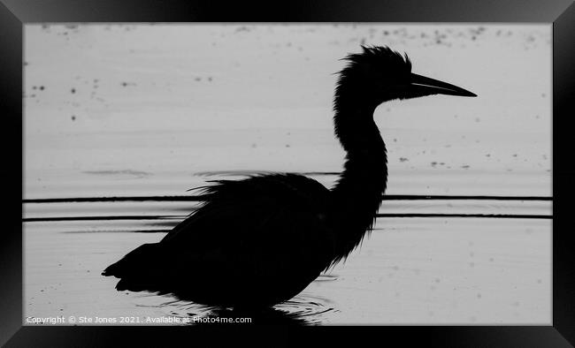 A Natural Silhouette Of A Grey Heron Framed Print by Ste Jones