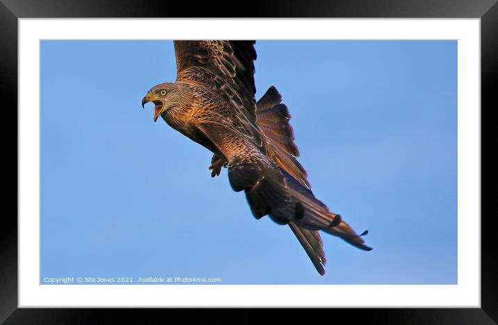 Angry Bird Framed Mounted Print by Ste Jones