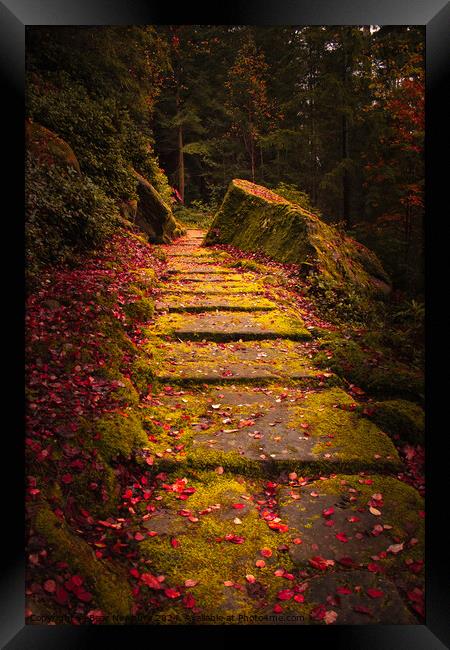 Cragside Steps Autumn 2 Framed Print by Bear Newbury