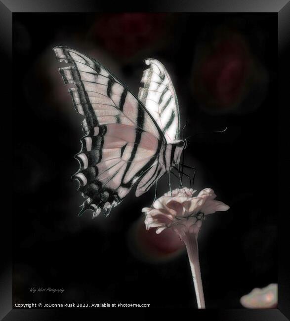 Phantom Butterfly Framed Print by JoDonna Rusk