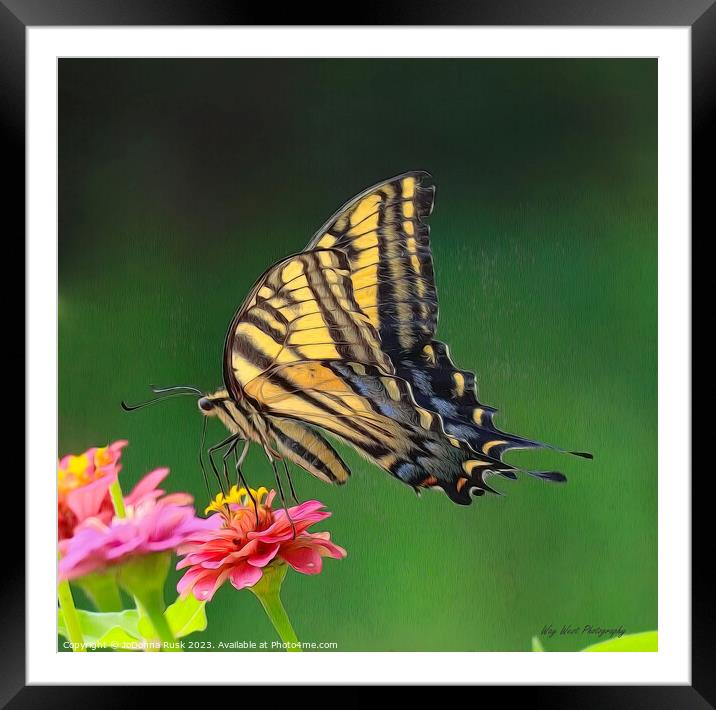 Fanciful Butterfly Framed Mounted Print by JoDonna Rusk