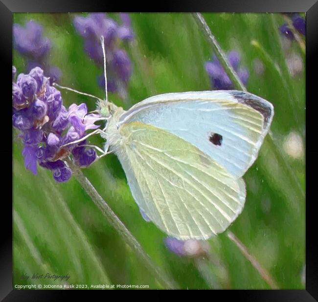 Small White Framed Print by JoDonna Rusk