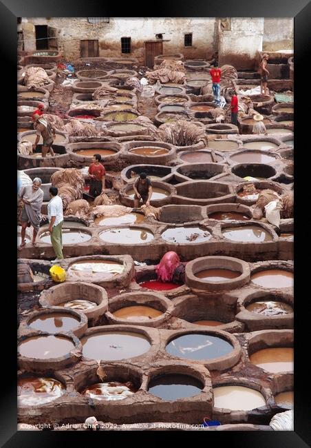 Men at work in the tannery, Fez, Morocco. Framed Print by Adrian Chan