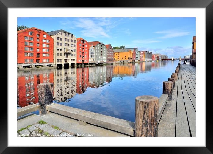Trondheim reflections. Framed Mounted Print by Roy Curtis