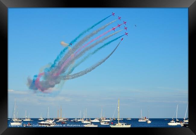 Gull Joins the Red Arrows Framed Print by Roy Curtis