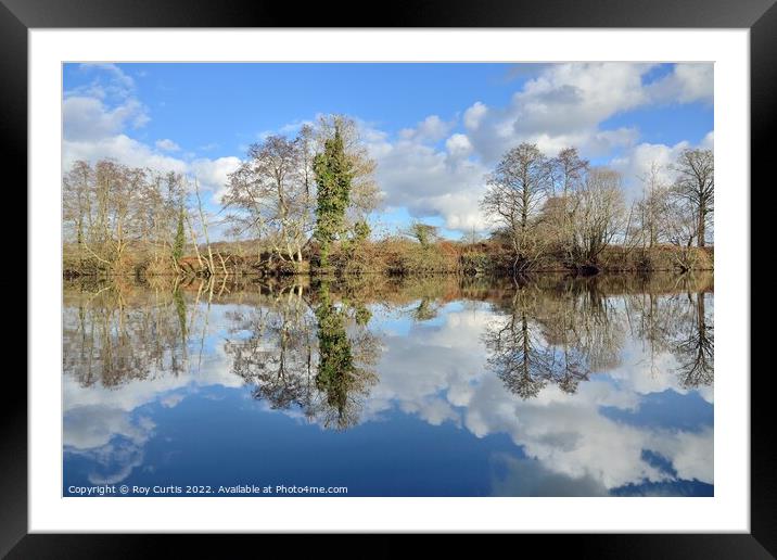 River Dart Reflections Framed Mounted Print by Roy Curtis