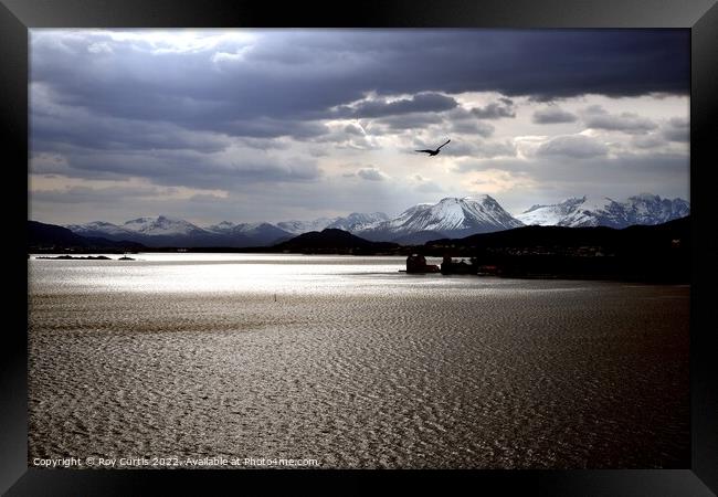 Light on the Water and Snow. Framed Print by Roy Curtis