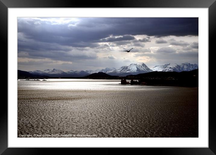Light on the Water and Snow. Framed Mounted Print by Roy Curtis