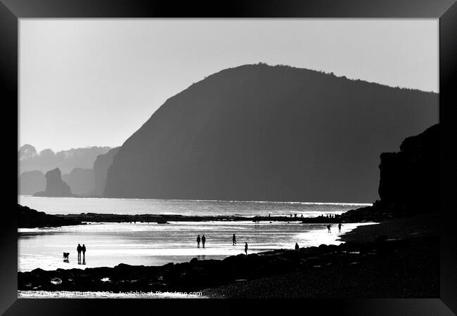 Sidmouth Silhouettes 3 Framed Print by Roy Curtis