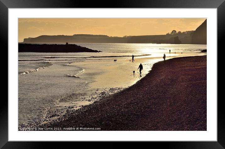 Sidmouth 7 Framed Mounted Print by Roy Curtis