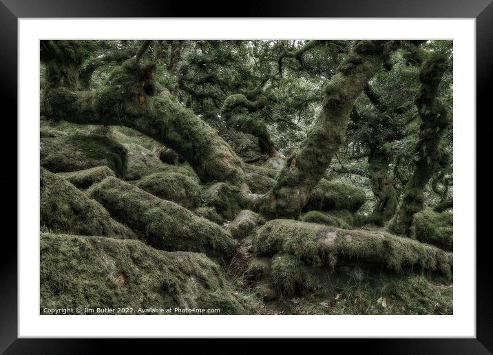 Wistman's Wood 1 Framed Mounted Print by Jim Butler