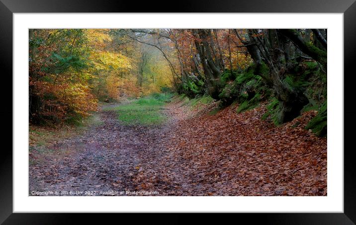 A woodland track in Autumn Framed Mounted Print by Jim Butler