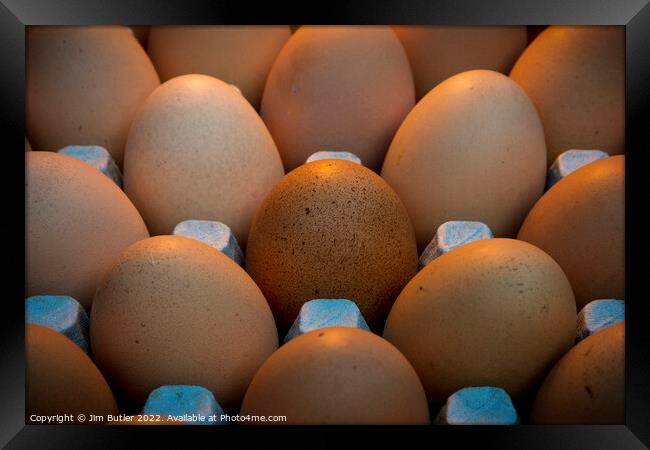 A clutch of eggs Framed Print by Jim Butler