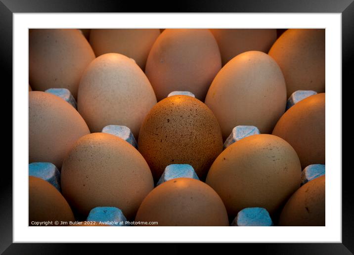 A clutch of eggs Framed Mounted Print by Jim Butler