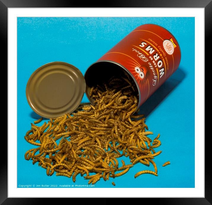 Can of Worms Framed Mounted Print by Jim Butler
