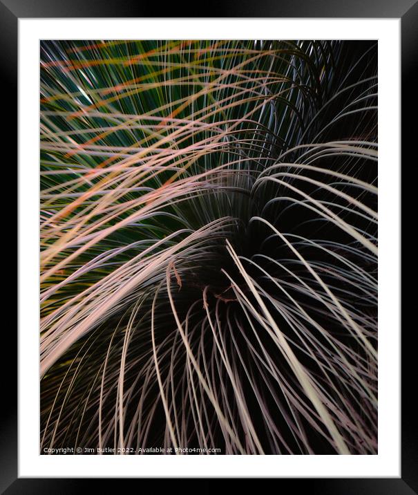 Foliage Framed Mounted Print by Jim Butler