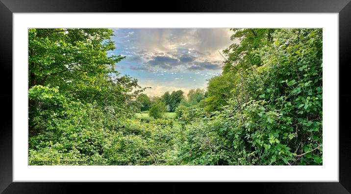 Peeking over a hedge to see the beauty Framed Mounted Print by Richard Baker