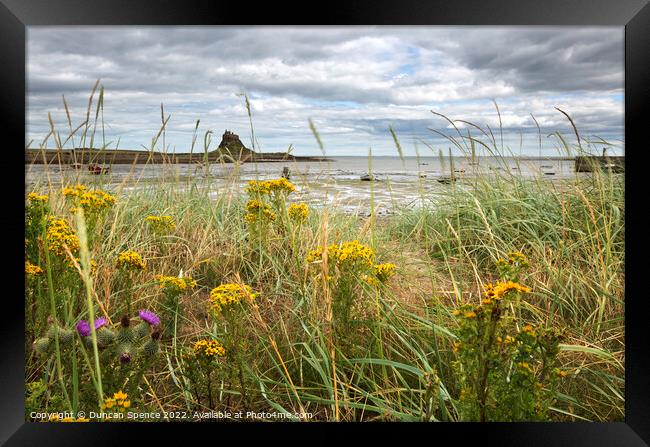 Holy Island in Bloom Framed Print by Duncan Spence