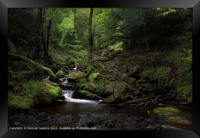 If You Go Down To The Woods....Wyming Brook, Sheff Framed Print by Duncan Spence