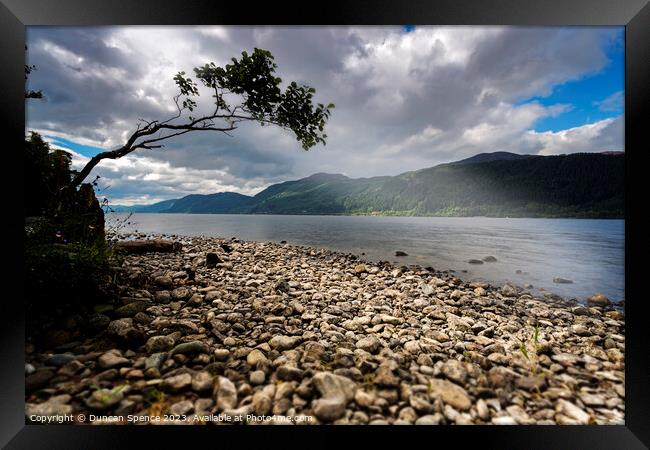Loch Ness lone tree Framed Print by Duncan Spence