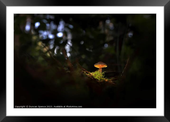 Glowing Mushroom Framed Mounted Print by Duncan Spence