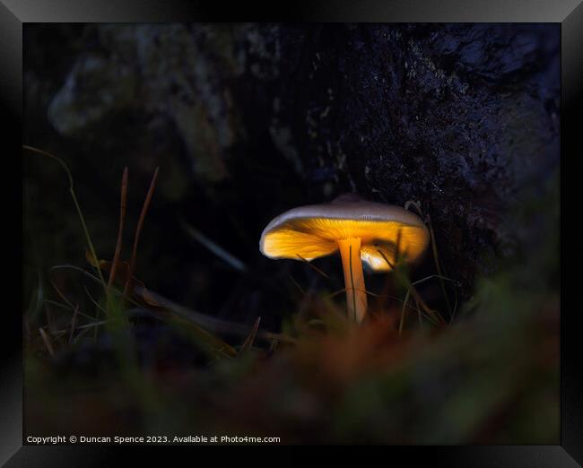 Glowing Mushroom Framed Print by Duncan Spence