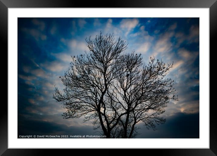 The silhouette Tree, Nottingham. Framed Mounted Print by David McGeachie