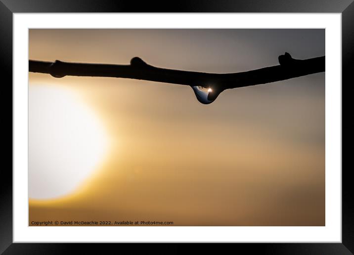Sunrise in a raindrop Framed Mounted Print by David McGeachie