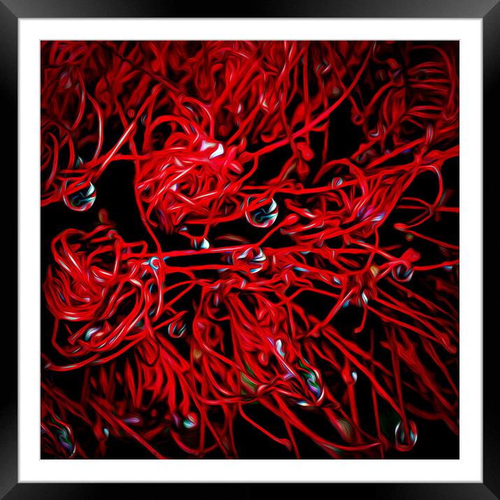 Red Beauty in the Rain Framed Mounted Print by David McGeachie