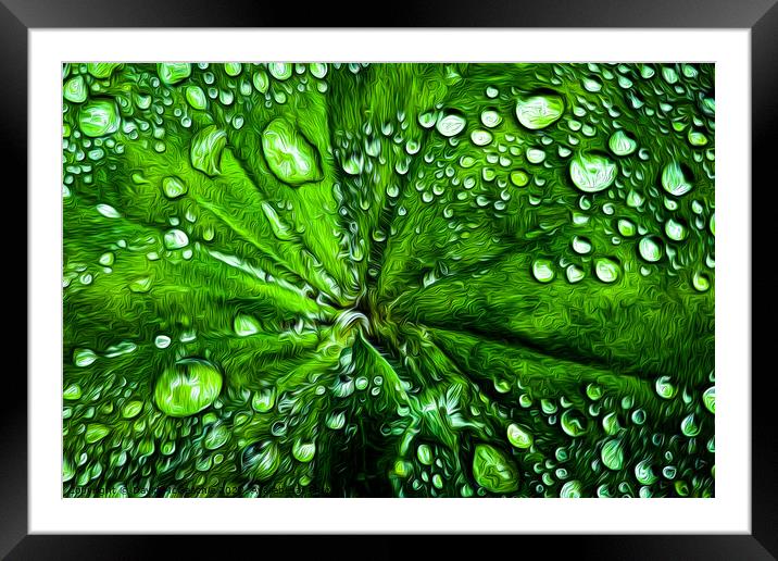 Natures Jewels Framed Mounted Print by David McGeachie