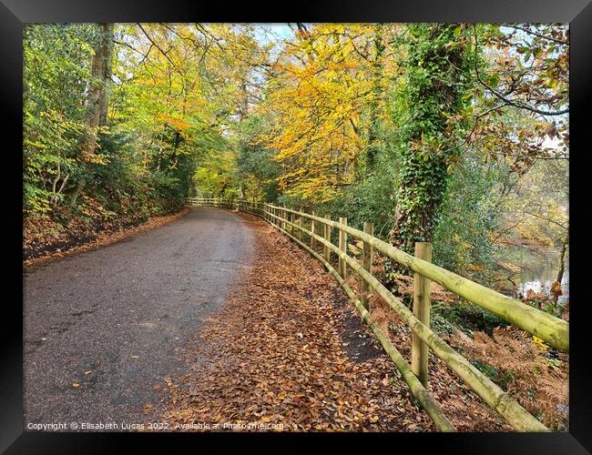 Road by Bystock Pools Framed Print by Elisabeth Lucas