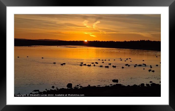 Sunrise over Lossiemouth Framed Mounted Print by Elisabeth Lucas