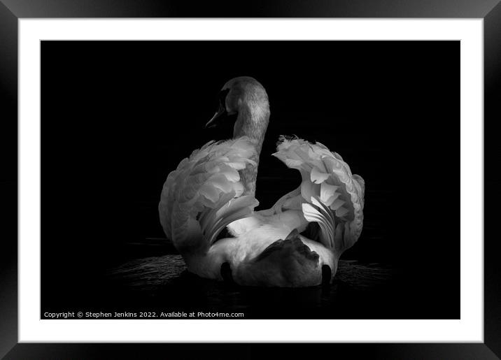 Into the shadows Framed Mounted Print by Stephen Jenkins