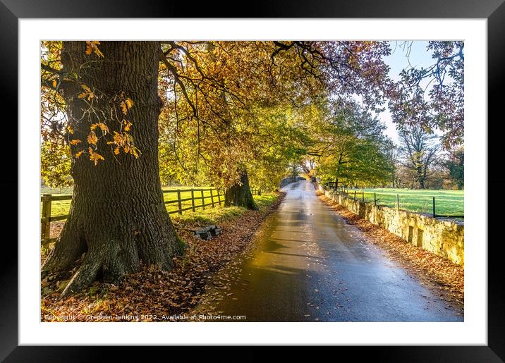 Autumn colours at Merthyr Mawr in Wales Framed Mounted Print by Stephen Jenkins