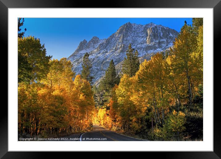 June Lake Loop Framed Mounted Print by Donna Kennedy