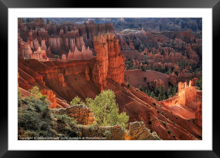 First Light at Bryce Canyon Framed Mounted Print by Donna Kennedy