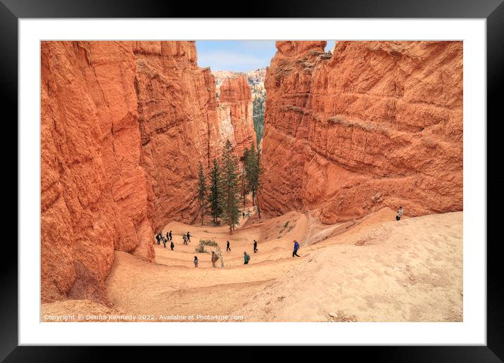 Down the Navajo Loop Trail Framed Mounted Print by Donna Kennedy