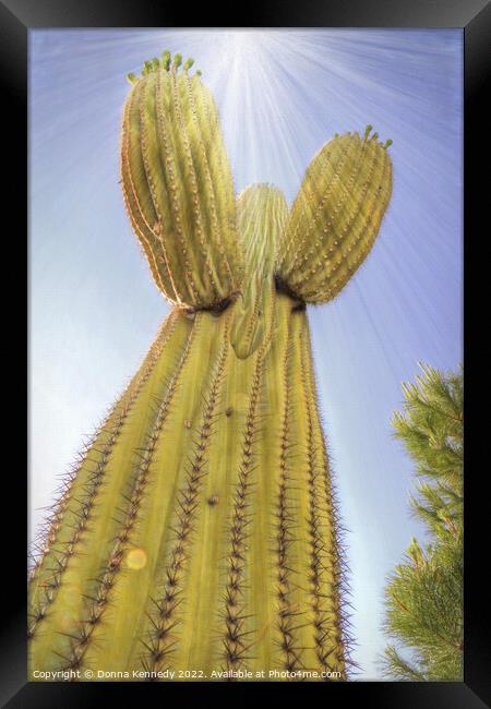 Saguaro Angel Framed Print by Donna Kennedy