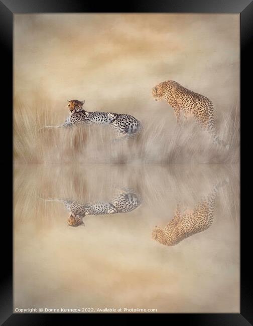 Two Cheetahs Framed Print by Donna Kennedy