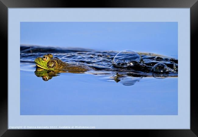 Leap Frog Framed Print by Donna Kennedy