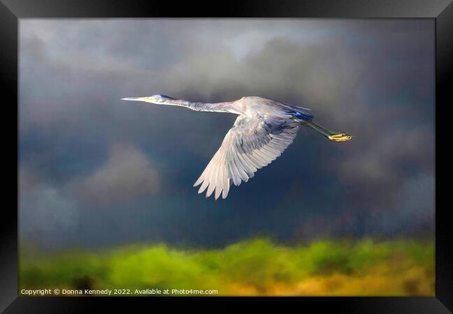 Flight Before the Storm Framed Print by Donna Kennedy
