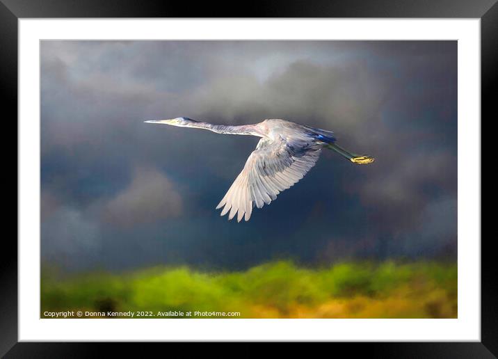 Flight Before the Storm Framed Mounted Print by Donna Kennedy