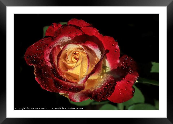 Double Delight Framed Mounted Print by Donna Kennedy