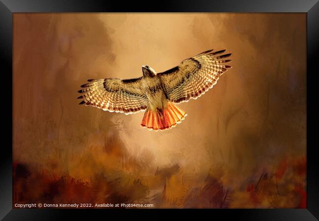 Autumn Flight Framed Print by Donna Kennedy