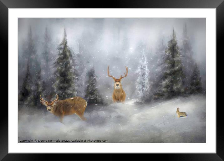 Winter Wildlife Framed Mounted Print by Donna Kennedy