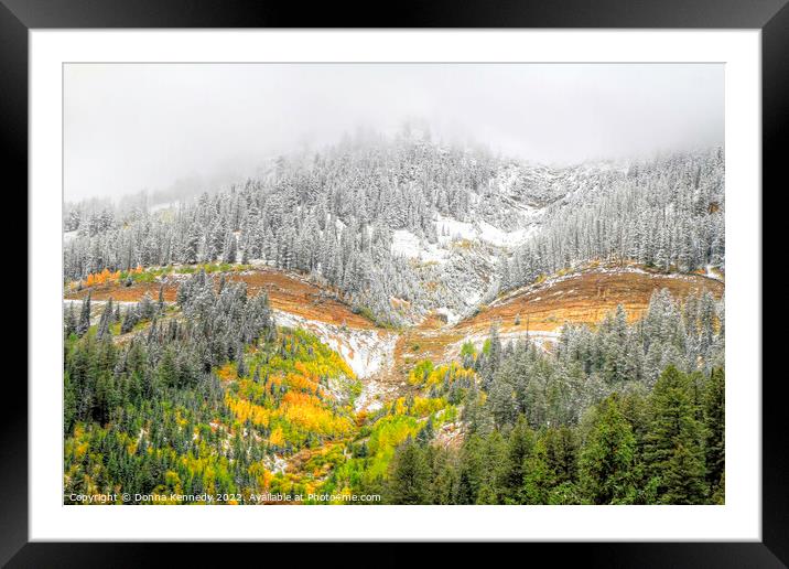 Fall Into Winter Framed Mounted Print by Donna Kennedy